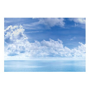 ͂邨C̕ǃV[g FuRoDeCo @44cm×2mLF020B04yC ǎ CNV[g V[ ͂ǎ  z