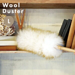 yzWD-002E[_X^[@Ly ͂ _X^[ Cp[ VR ق nfB zLF510B10b0