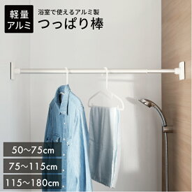 【送料無料】アルミ軽量突ぱりポール 【 突ぱり棒 つっぱり棒 パーテーション 間仕切り カーテンポール 】LF611B10b000