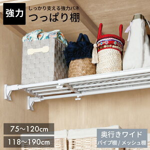 yzX[p[ChI@pCvI/bVI@RA RBy ς _[bN ˂胉bN ˂I ǖʎ[ zLF540B10b000[10wide]