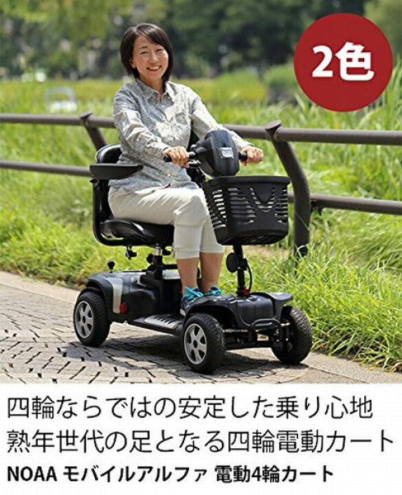 楽天市場】【メーカー直送/代引不可 組立＋講習付き】電動4輪カート 