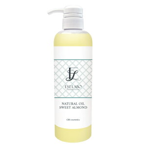 GXe{ i`ICXC[gA[h 500mL Ɩp }bT[WIC CBSϕi GXeeBbNTꔄi EST LABO Kiy/Ez