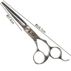 BEL scissors RuLItZbgnh ƖpVU[ BSD-02 6.0C` Ќn ugJbgp p[^Cv Ɩp eVU[ enT~ ƖpJbgVU[ Tꔄi e e