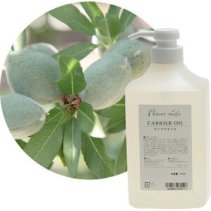 t[o[Ct XC[gA[hIC 1000mL LAIC A}g[gg̃vłxĂAԂ̐AIC  SĂ̔ GXeT GXeeBb