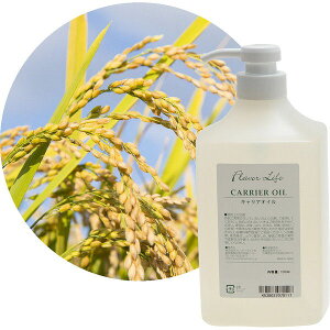 t[o[Ct CXW[IC 1000mL LAIC { r^~EIUm[ƂLx  ESĂ̔ GXeT GXeeBbNT Flavor