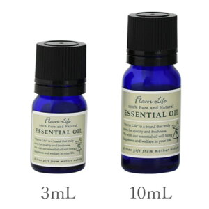 yԗDǃVbv܁zylR|X/|Xgzt[o[Ct GbZVIC J}CE[} 3mL/10mL yt[nzÂƃt[eB[₳ Flavo