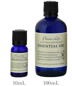 t[o[Ct GbZVIC O[vt[c 10mL/100mLyJLcnzʎ̂̂v킹tbVłƂ Flavor Life  A} A}es[ Q 