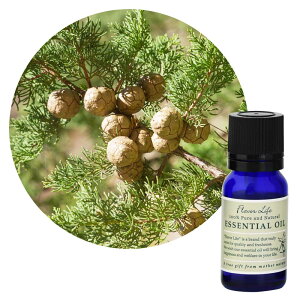 ylR|X/|Xgzt[o[Ct GbZVIC TCvX 10mLy،nzXpCV[ŃtbVȐXт̍ Flavor Life  A} A}es[ Q r