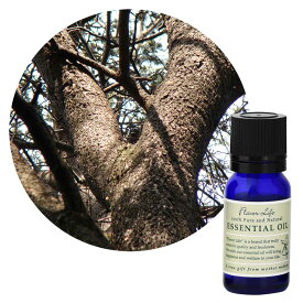 【ネコポス/ポスト投函】フレーバーライフ エッセンシャルオイル シダーウッド・アトラス 10mL【樹木系】ウッディー調の中にもフローラルを思わせるあまい香り Flavor Life 精油 アロマ アロマテラピー玄関 寝室 リビング 正規品 送料無料