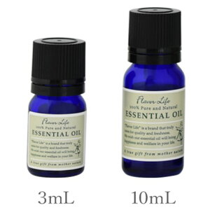 t[o[Ct GbZVIC WX~EAu\[g 3mL/10mLyt[nzZŊÂ݂̂GL]`bNȍ Flavor Life  A} A}es[ Q rO