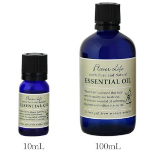 t[o[Ct GbZVIC Vgl 10mL/100mL yJLcnzÂ郌ɂ Flavor Life  A} A}es[ Q rO Ki 