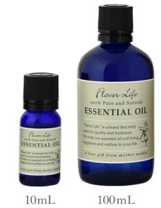 t[o[Ct GbZVIC XC[gIW 10mL/100mL yJLcnz肽ẴtbVȊk̊Â Flavor Life  A} A}es[ Q rO Ki