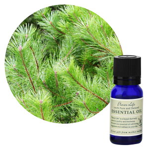 ylR|X/|Xgzt[o[Ct GbZVIC pCj[h 10mLy،nztbVŐXXт̍ Flavor Life  A} A}es[ Q rO 