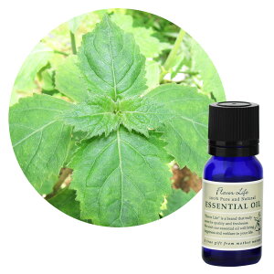 yԗDǃVbv܁zylR|X/|Xgzt[o[Ct GbZVIC p` 10mLyGL]`bNnzn`̂悤Ƃ\d݂Ɛ[݂̂IG^