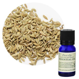 ylR|X/|Xgzt[o[Ct GbZVIC tFl 10mLyn[unz݂ƂÂƉ݂̂yn[u̍ Flavor Life  A} A}es[ 