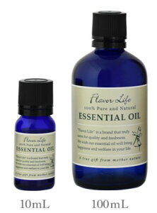 t[o[Ct GbZVIC tLZXij10mL/100mLynz񂾍̉Ɏ̏dÂ鍁 Flavor Life  A} A}es[ Q r