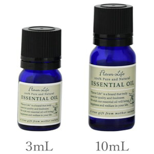 ylR|X/|Xgzt[o[Ct GbZVIC BT 3mL/10mLynzEbfBñX[bƐ݂킽悤ȑu₩ȍ Flavor Life  A} A}es[