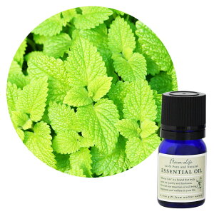 t[o[Ct GbZVIC bTio[j3mLyJLcnzv킹邳₩ƃO[ Flavor Life  A} A}es[ Q 