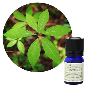 フレーバーライフ 和精油 クロモジ 3mL 【樹木系】落ち着いた甘さと上品な森林の香り Flavor Life 精油 アロマ アロマテラピー玄関 寝室 リビング 女性 ギフト GIFT 誕生日 プレゼント 雑貨 おし