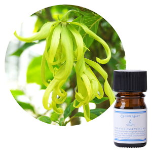 ylR|X/|Xgzt[o[Ct NC[[ CCERv[g 5mL yGL]`bNnzoX悭ÂZł݂̂鍁 I[KjbN GbZV