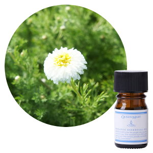 ylR|X/|Xgzt[o[Ct NC[[ J}CE[} 3mLyt[nzÂƃt[eB[₳ I[KjbN GbZVIC 