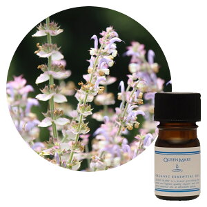 ylR|X/|Xgzt[o[Ct NC[[ NZ[W 5mLyn[unzn[u̒ɂpE_[鍁 I[KjbN GbZVIC  A} A