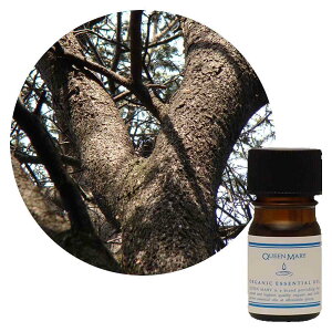 ylR|X/|Xgzt[o[Ct NC[[ V_[EbhEAgX 5mL y،nzEbfB[̒ɂt[v킹邠܂ I[KjbN GbZVIC