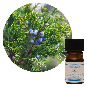 ylR|X/|Xgzt[o[Ct NC[[ Wjp[׃[ 5mLy،nzXтv킹V[vřzƂu₩ȍ I[KjbN GbZVIC  A