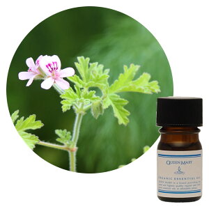 ylR|X/|Xgzt[o[Ct NC[[ [jE 5mLyt[nzÂ؂₩̒ɂn[u̍킹 I[KjbN GbZVIC 