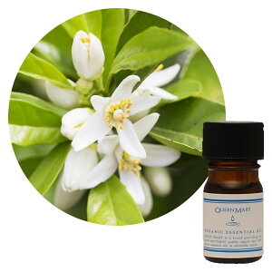 t[o[Ct NC[[ l 5mLyt[nzk̑u₩ƗDt[̍ I[KjbN GbZVIC  A} A}es[ Q rO