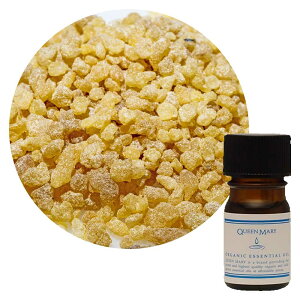 ylR|X/|Xgzt[o[Ct NC[[ tLZX 5mLynz񂾍̉Ɏ̏dÂ鍁 I[KjbN GbZVIC  A} 