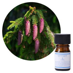 ylR|X/|Xgzt[o[Ct NC[[ ubNXv[X 5mLy،nz݂݂XpCV[ȐXт̍ I[KjbN GbZVIC  A} A}