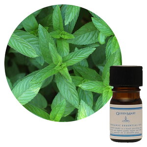 ylR|X/|Xgzt[o[Ct NC[[ yp[~g 5mLyn[unẑ郁g[̑u₩ȍ I[KjbN GbZVIC  A} A}e