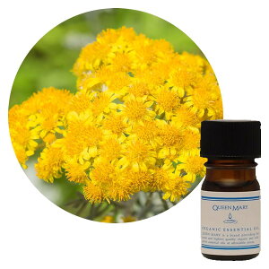 ylR|X/|Xgzt[o[Ct NC[[ wNTiC[ej3mLyt[nzEbfB[̊Â̒ɂXpCV[鍁 I[KjbN Gb