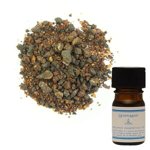 ylR|X/|Xgzt[o[Ct NC[[ ~ivj 5mLynzX[L[ŊÂ݂鍁 I[KjbN GbZVIC  A} A}es[