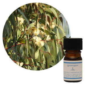 ylR|X/|Xgzt[o[Ct NC[[ [JEOuX 3mLy،nzƒʂ蔲悤ȃV[v̒ɂ₳◎̂鍁 I[KjbN G