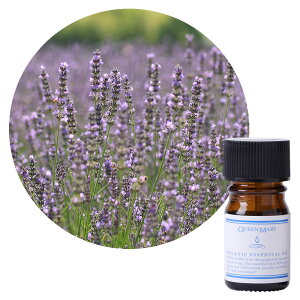 ylR|X/|Xgzt[o[Ct NC[[ x_[t@C 5mLyt[nzÂ܂Ƃiȃt[̍ I[KjbN GbZVIC 