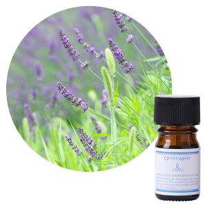 ylR|X/|Xgzt[o[Ct NC[[ ofBX[p[ 5mLyt[nzXbLƂt[Ȃ܂Ƃ I[KjbN GbZVI