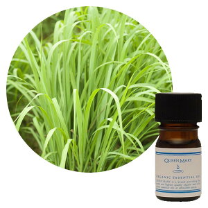 yԗDǃVbv܁zylR|X/|Xgzt[o[Ct NC[[ OX 5mLyJLcnzɂtbVŗ͋ I[KjbN GbZV