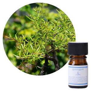 ylR|X/|Xgzt[o[Ct NC[[ eB[g[ 5mLyn[unzÂ_̂邷Ƃ I[KjbN GbZVIC  A} A}