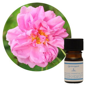 t[o[Ct NC[[ [YIbg[ 3mLyt[nziŉ؂₩̒ɂ I[KjbN GbZVIC  A} A}es[ Q 