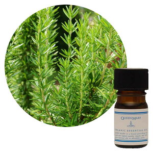 ylR|X/|Xgzt[o[Ct NC[[ [Y}[ 5mLyn[unẑNAŋƂn[u̍ I[KjbN GbZVIC 