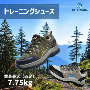 \̔ STg[jOV[Y dC _CGbgV[Y Б3.8kg EH[LOV[Y wr[EH[LO _CGbg GNTTCY ؃g YC