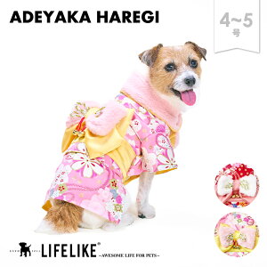 ył₩ꒅ1-5z  Vv  ^ q ps[ ^ j Cxg    ̕ ₦΍ ybg m ybgpi ł JtF s mԕi