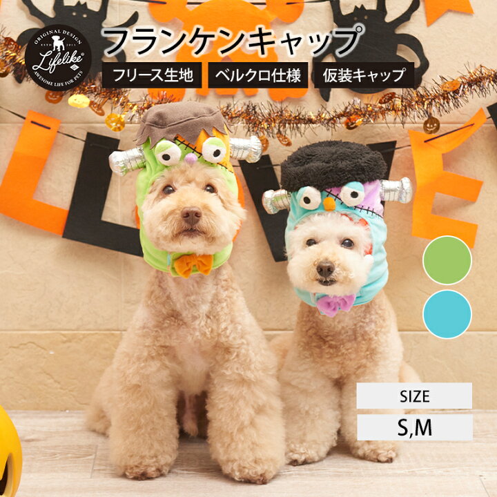 楽天市場 フランケンキャップ ハロウィン 被り物 犬 猫 かぶりもの 帽子 小型犬 中型犬 Lifelike S M 秋冬 冬用 秋 冬 ダックス チワワ プードル キャップ 仮装 イベント コスチューム 返品 サイズ交換不可 ライフライク楽天市場店