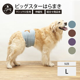 楽天市場 腹巻 ペット ペットグッズ の通販