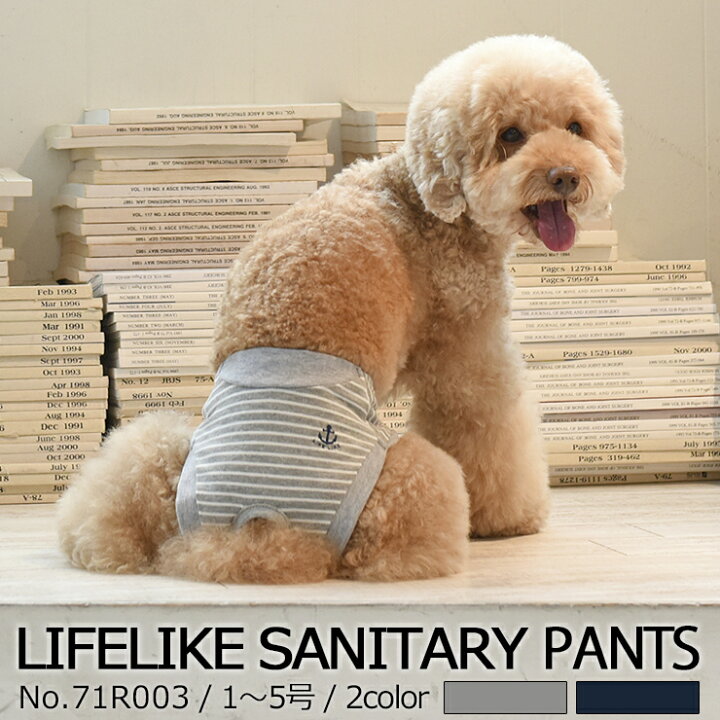 楽天市場 マリンボーダーサニタリーパンツ1 5号 パンツ サニタリー ぱんつ 小型犬 中型犬 Lifelike 女の子用 メス 生理用 ヒート マナーパンツマナーグッズ 服 お出かけ 宿泊 旅行 返品不可 サイズ交換可 ライフライク楽天市場店