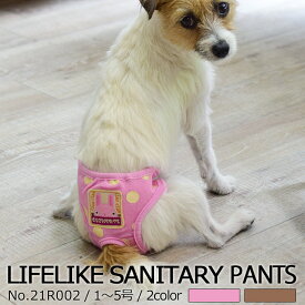 楽天市場 チャオ 犬の大きさ小型犬 犬用品 ペット ペットグッズ の通販