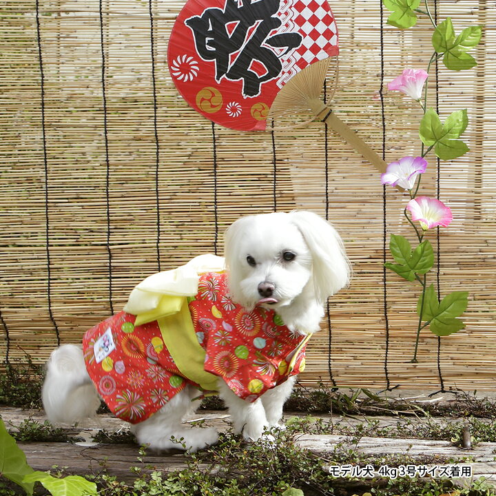 市場 犬 凛 犬用着物 りん Box受取対象商品 ５ ６号 コンビニ受取対応商品 浴衣 着物