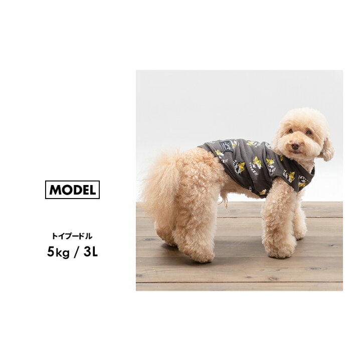 トレーナー 小型犬 秋冬 秋 秋用 犬 チワワ 冬 中型犬 犬服 服 プードル ダックス 犬の服 あったか Lifelike